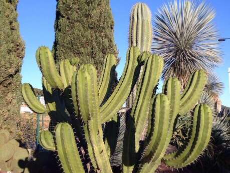 Pépinière La Ferme aux Cactus
