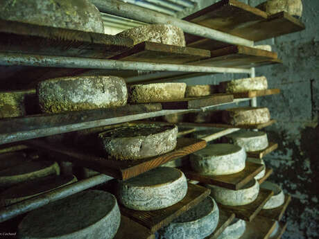 Visite de la ferme d'alpage de l'Airon