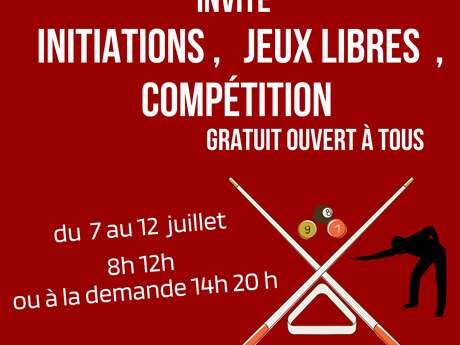 Découverte du billard français