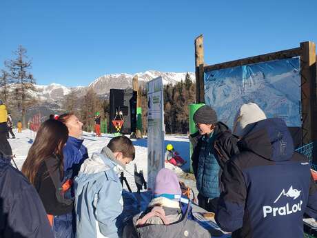 Animation sur le Tétras-lyre et la faune sauvage en montagne