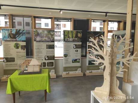 Exposition : un héritage de 900 ans de gestion forestière