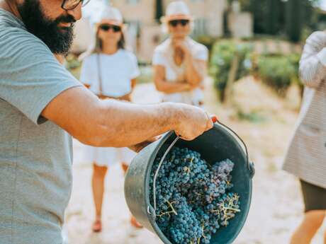 Ban des Vendanges, 3ème édition