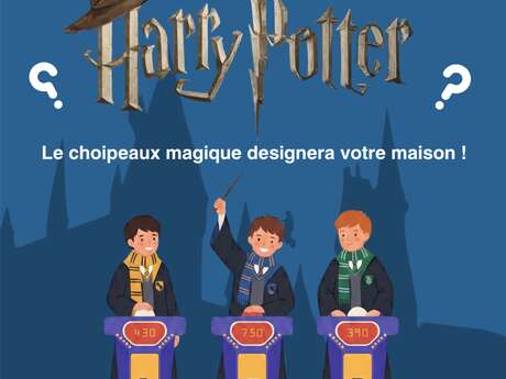 Pichoun'ventures d'hiver : Quiz Harry Potter