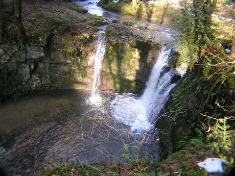 Follaton path