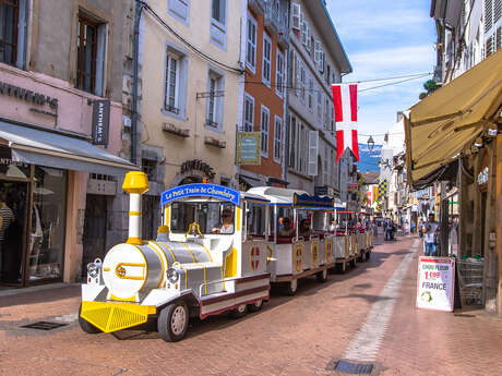 Chambéry en petit train touristique