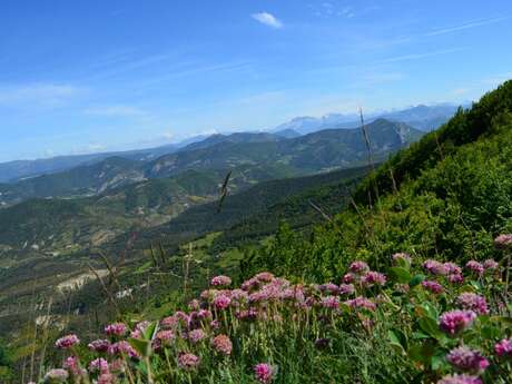 SERRES - Sur le GRP® Tour des Baronnies provençales, variante haut-alpine en 8 jours