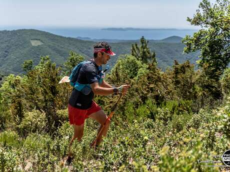 Trail des Maures