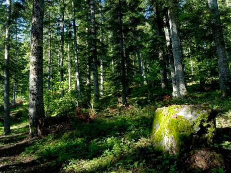 The Sentier des Pyramides - The Pyramids Path