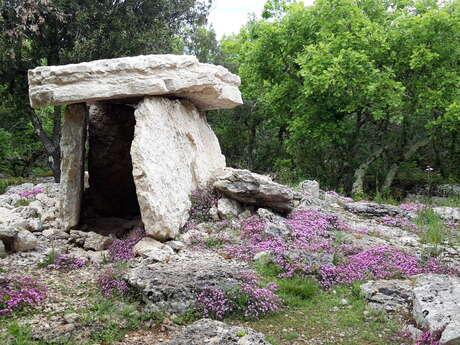 Aven d'Orgnac - Les conférences de la Cité  - Les dolmens, une pratique funéraire de la fin du Néolithique