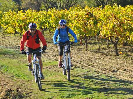 VTT n°29 - Petit tour de l'Eze