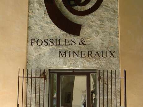 Musée des fossiles et minéraux