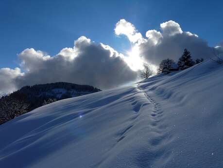 Day-long snowshoe outing