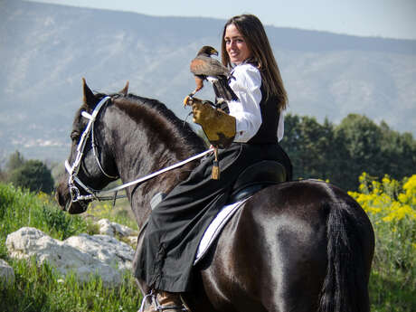 Parc Animalier Les Aigles du Verdon