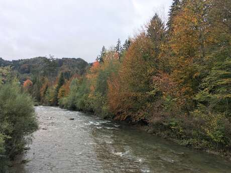 Pêche à la rivière du Foron