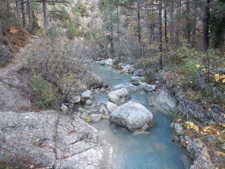 VTT n°6 - L'Estoublaïsse