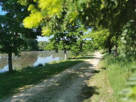 Le lac de Requech