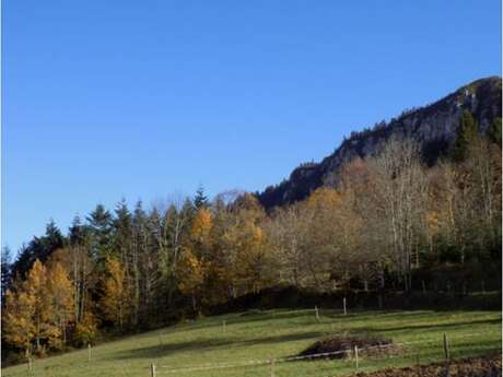 Gîte de montagne et forêt