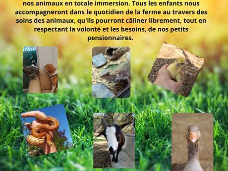 Stage Petit Fermier à La Bastidonne