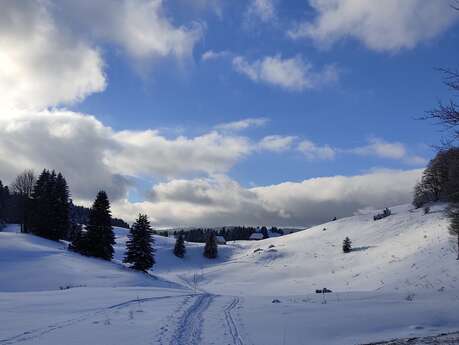 Randonnées raquettes : La Piste du Trappeur