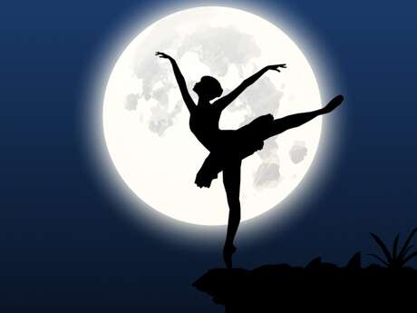 Gala de danse