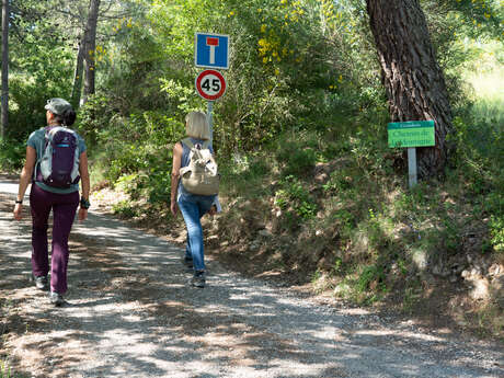 À Petits Pas - Animatrice Loisirs Sportifs