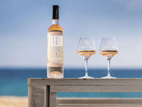 Domaine de l'Amaurigue