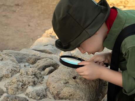 Frühlingsabenteuer : In der Haut eines Archäologen