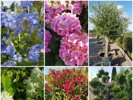 Jardinerie - pépinière Les 4 saisons du jardin