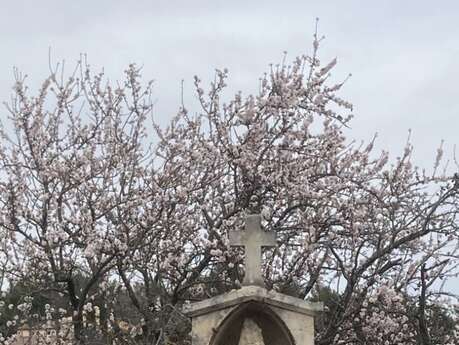 Saint Anne’s Oratory