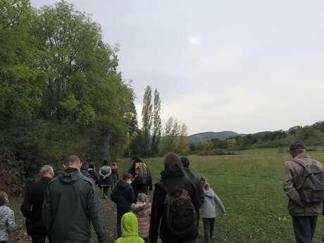 En famille : traces et indices des animaux