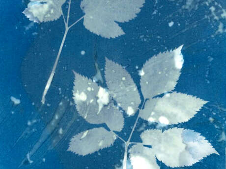 Au labo du Château : I've got the bleu !