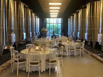 Residenzseminar im Herzen eines Weinbergs