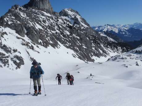 Sortie raquettes découverte de la faune à la pointe de Bellevue avec Cédric Cordonnier