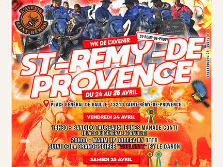 Wochenende der Zukunft in Saint-Rémy-de-Provence