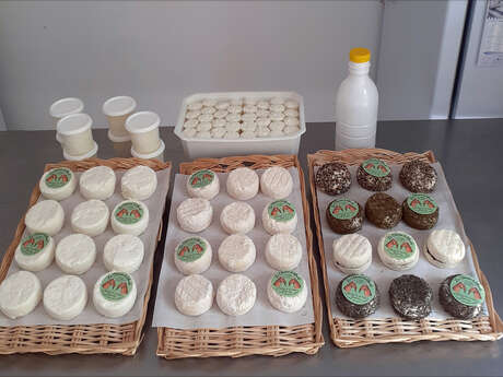 Chèvrerie d'Allauch