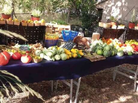 Les jardins du Néoulier