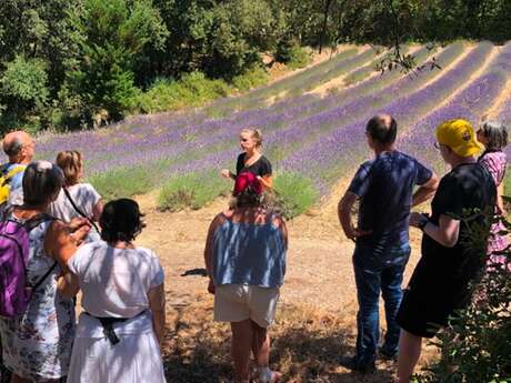 Visites, Animations et Ateliers: Distillerie Bel Air
