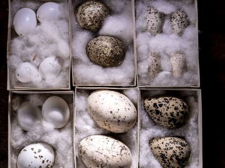 Parcours spécial Pâques au Jardin botanique Val Rahmeh-Menton