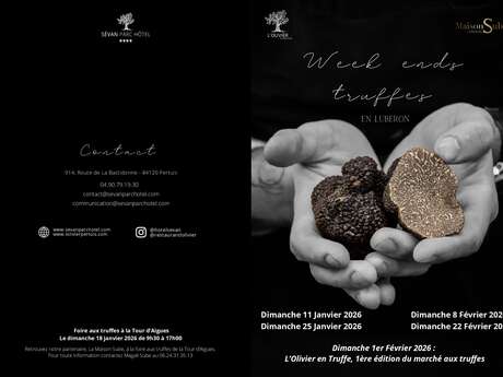 Les week-ends truffe en luberon