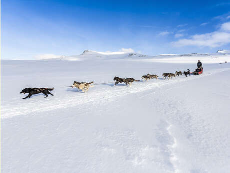 Auvergne Traîneau - Charlannes