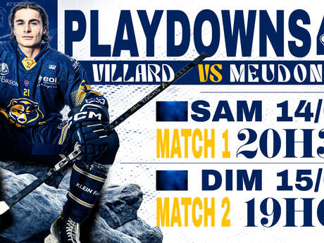 Match de Hockey sur glace - D1