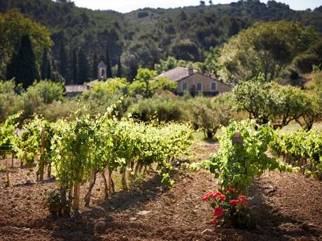 Domaine de l'Abbaye Sainte-Marie de Pierredon