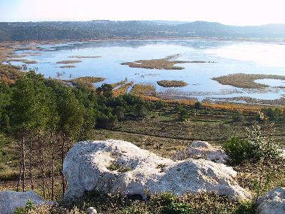 Forêt domaniale de Castillon