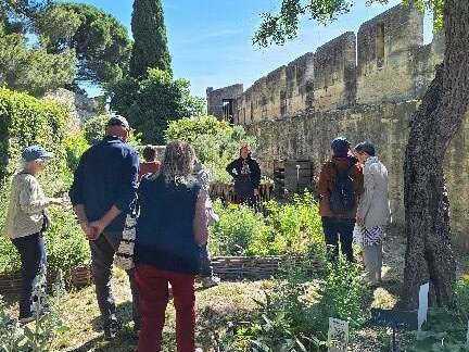 Visite d'un jardin d’inspiration médiévale