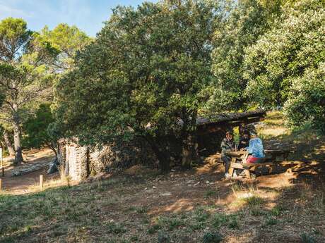 CUGES-LES-PINS - Crête de la Sainte-Baume et Jas de Frédéric