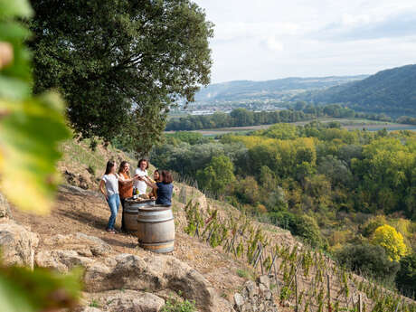 Apéros Vignes at Domaine de Corps de Loup