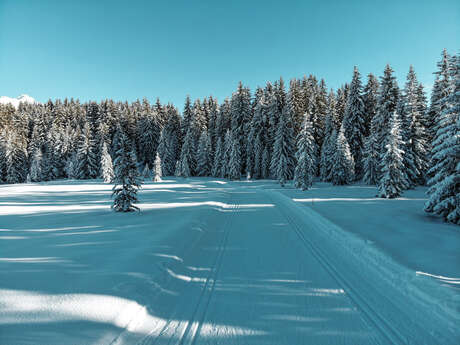 Ski nordique en nocturne sur le plateau de Beauregard