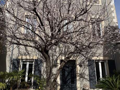 Maison Honorine en Provence