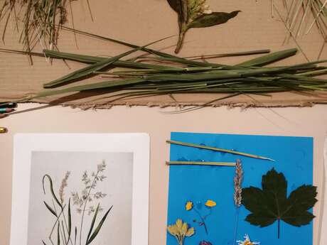 Atelier "Herbier en fleur" - Rendez-vous aux jardins