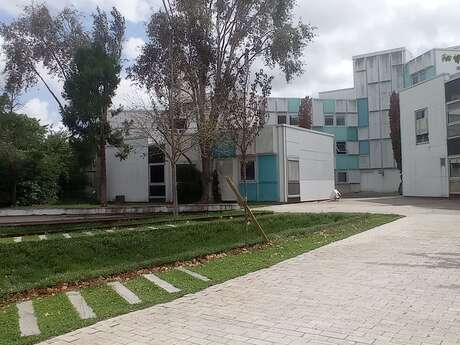 Internationaler Tag für die Beseitigung von Gewalt gegen Frauen